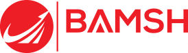 Bamsh Digital Marketing Logo transp