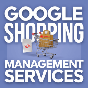 Google Shopping Management Services Agency Bristol UK